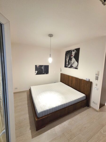 Unirii, Octavian Goga