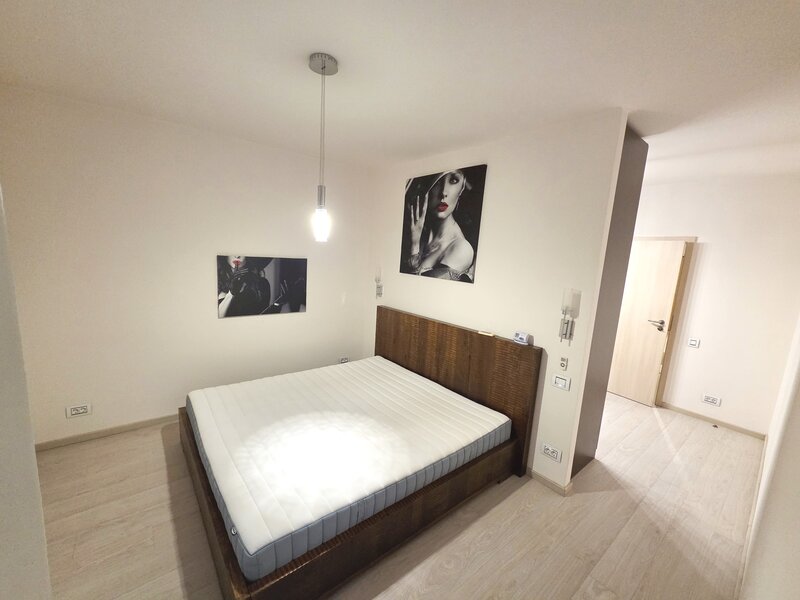 Unirii, Octavian Goga